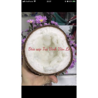 Dừa sáp Trà Vinh loại 1 (trái 1,4kg-1,6kg)