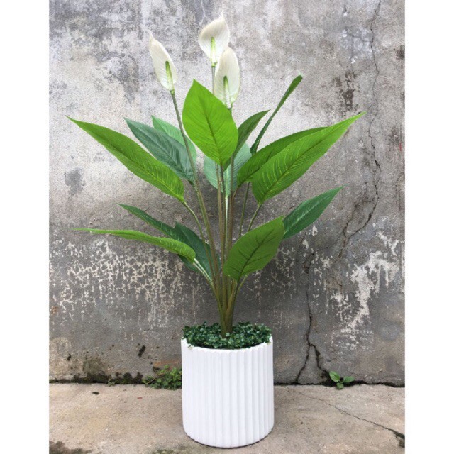 Cây Lan Ý giả 95cm trang trí / nhiều màu/