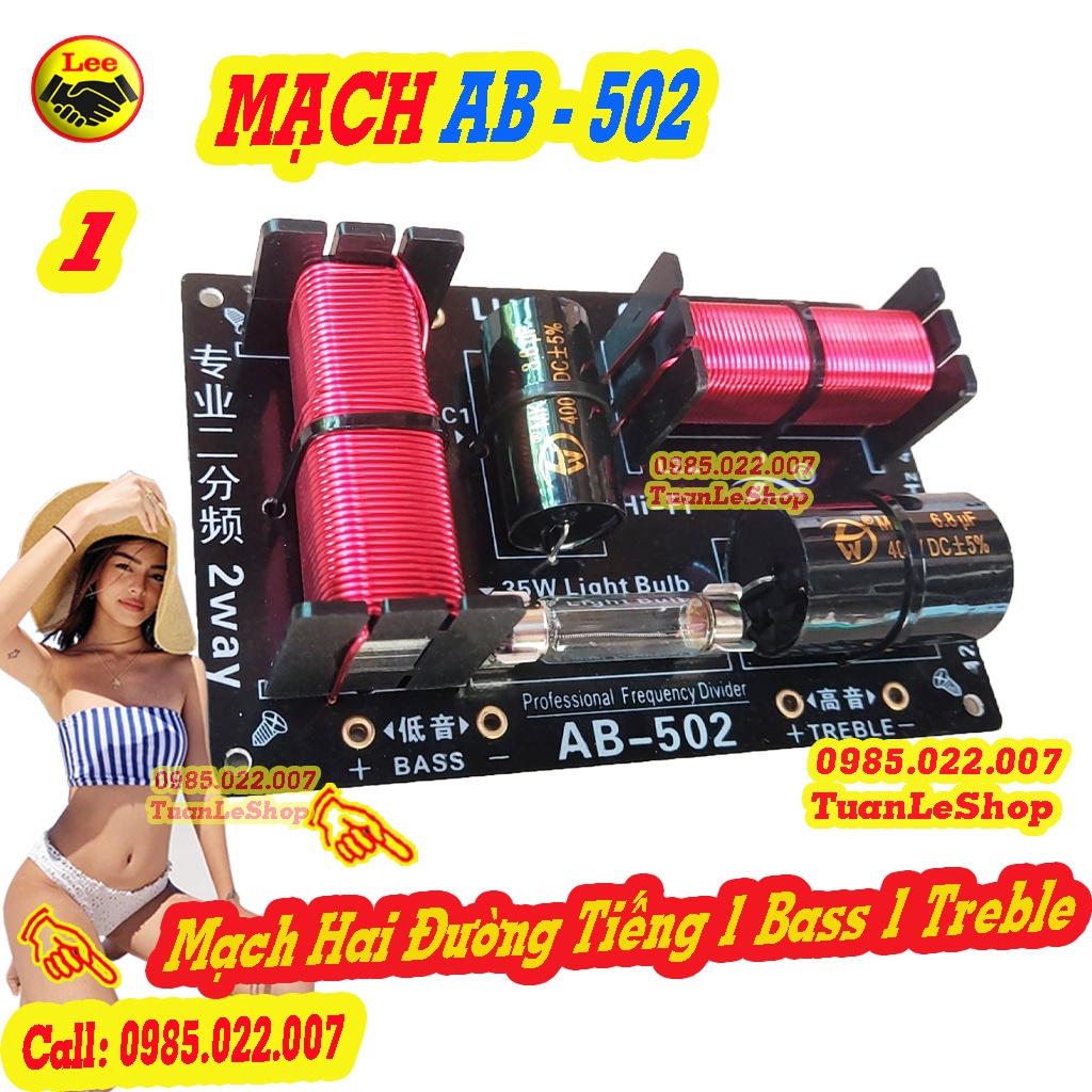 MẠCH PHÂN TẦN 2 ĐƯỜNG TIẾNG AB – 520 – GIÁ 01 MẠCH 2 LOA XỊN SÒ AB502 - MẠCH LOA