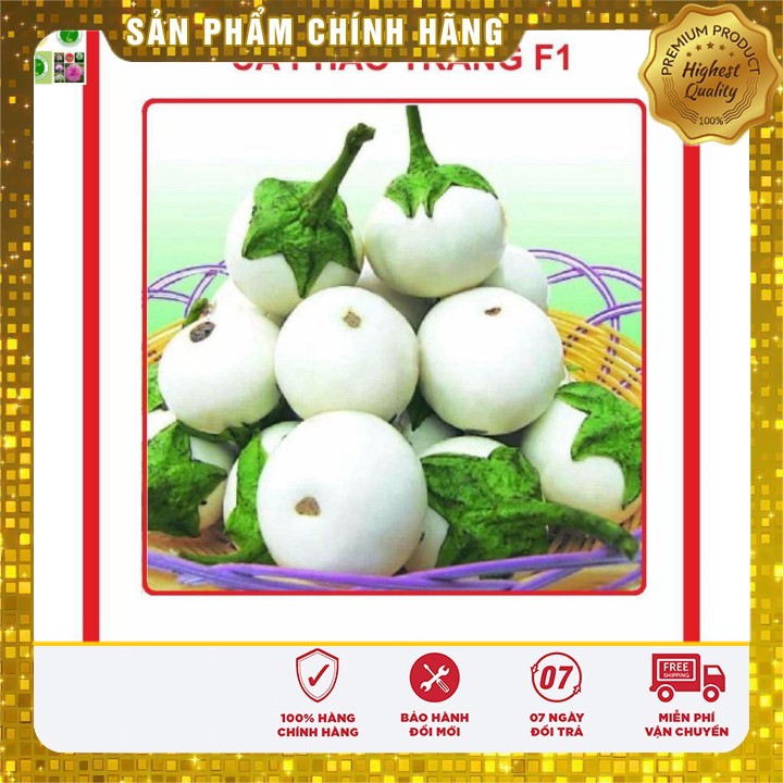 Hạt giống Cà Pháo Trắng 2gram