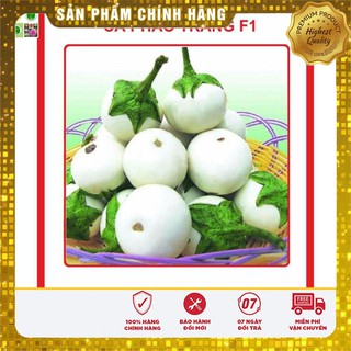 Hạt giống Cà Pháo Trắng 2gram