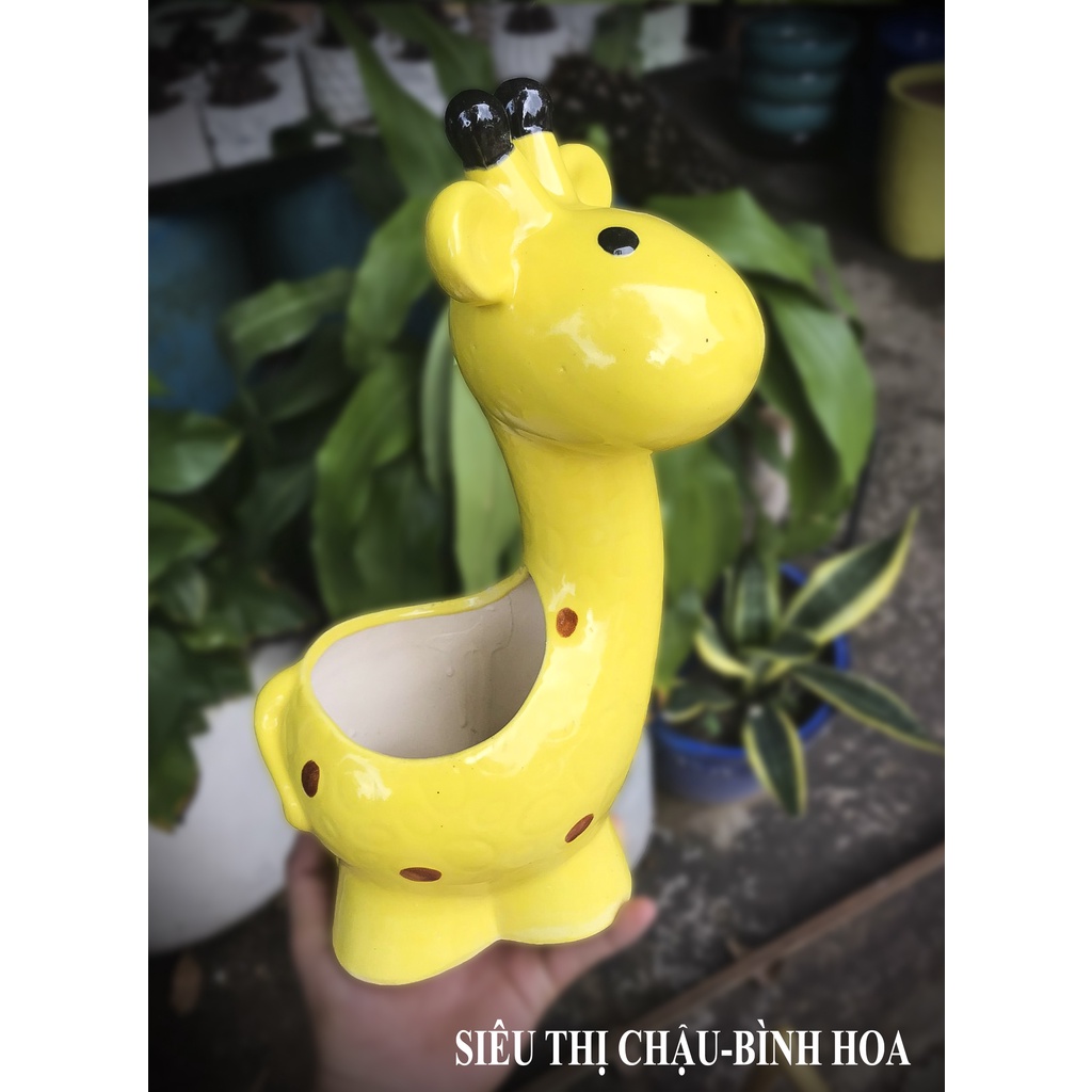 Chậu trồng sen đá, chậu cây tiểu cảnh, chậu tiểu cảnh mini - THCCMV-HƯƠU CAO CỔ MEN VÀNG