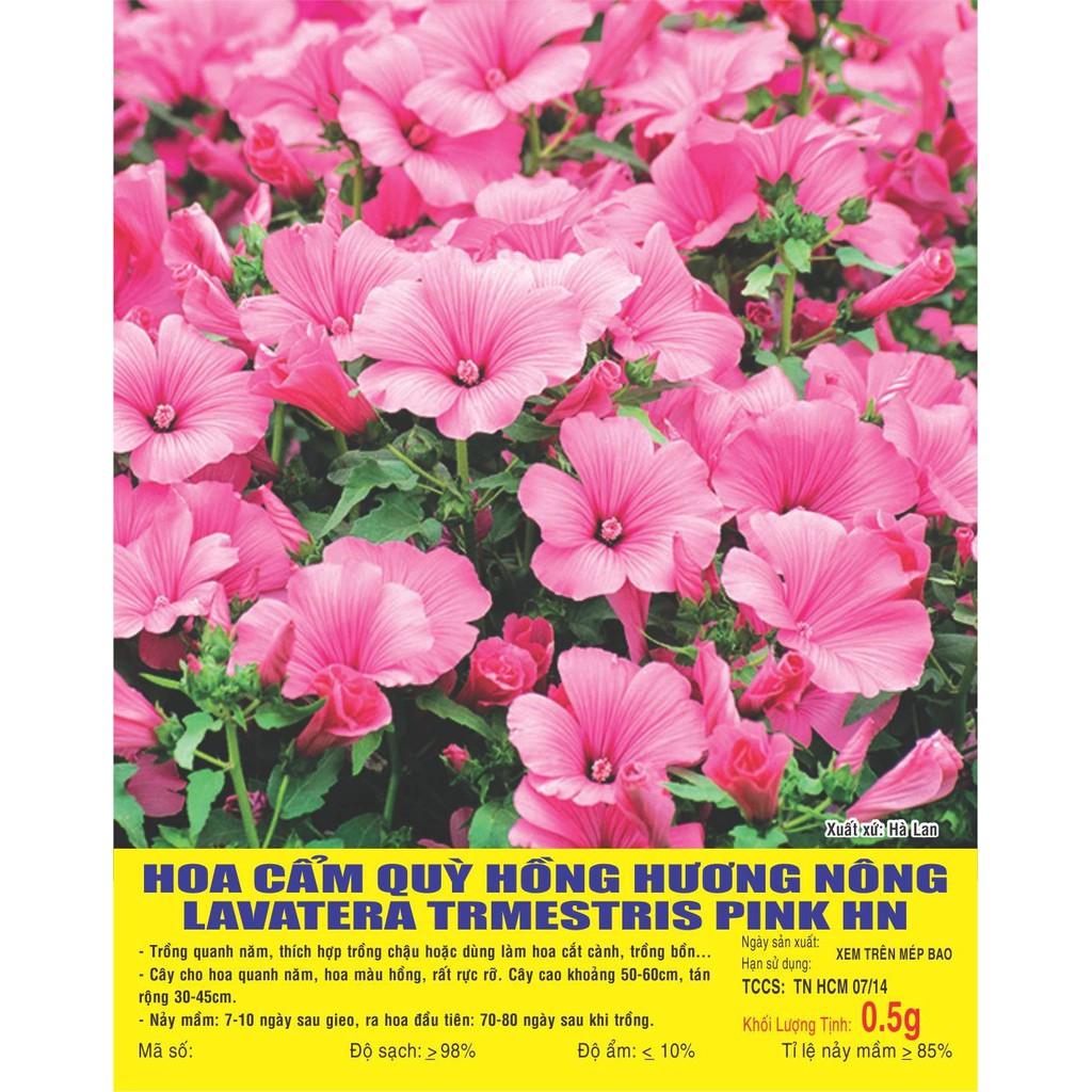 Hạt giống Hoa Cẩm Quỳ màu Hồng - Gói 0,5 gram