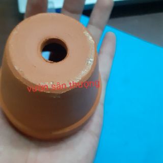Chậu đất nung đỏ 6,5 x5 cm