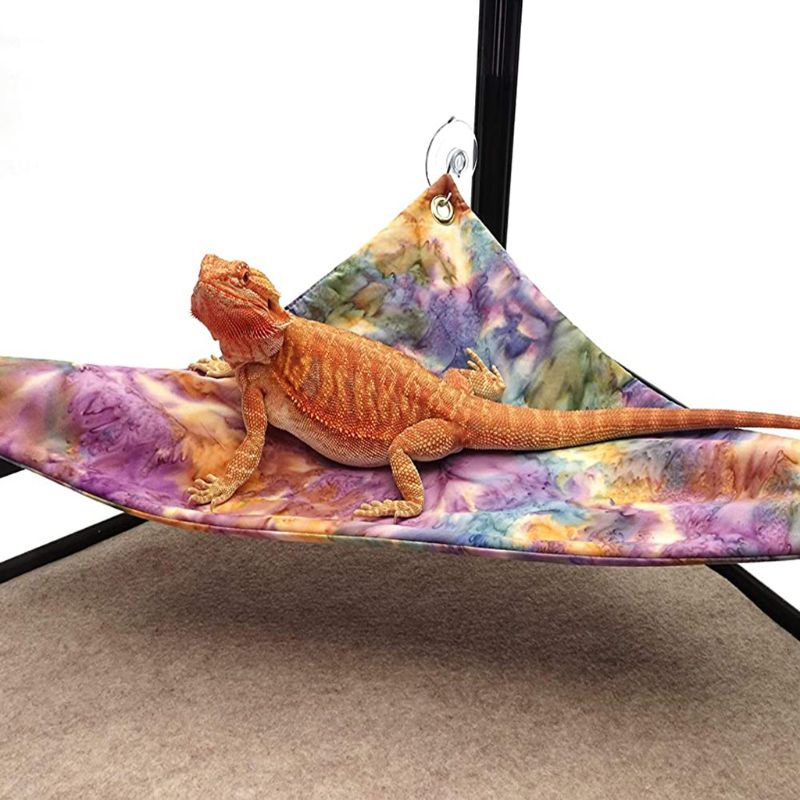 Lucky Võng Giường Tam Giác Có Giác Hút Trang Trí Chuồng Nuôi Thú Cưng Bò Sát