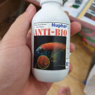 Anti bio chuyên trị một số loại bệnh cho cá cảnh