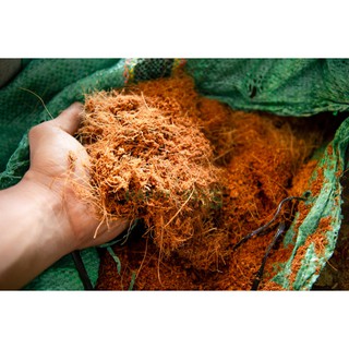Xơ dừa (bao)- chất trộn trồng cây
