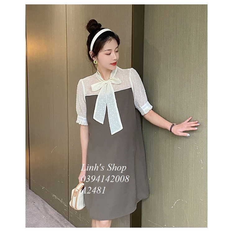 Váy Đầm Suông Xinh A2481