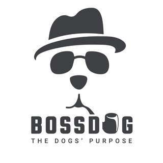 BossDog | Nuôi dạy cún ngoan