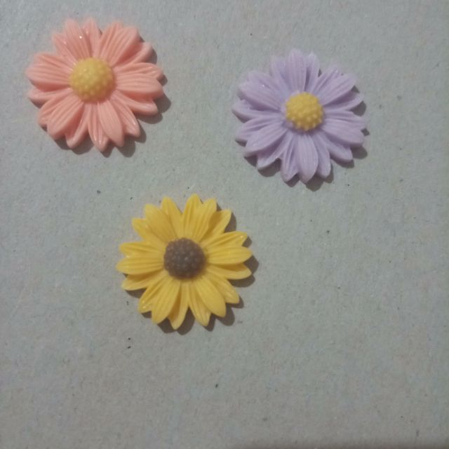 Charm hoa nhiều màu