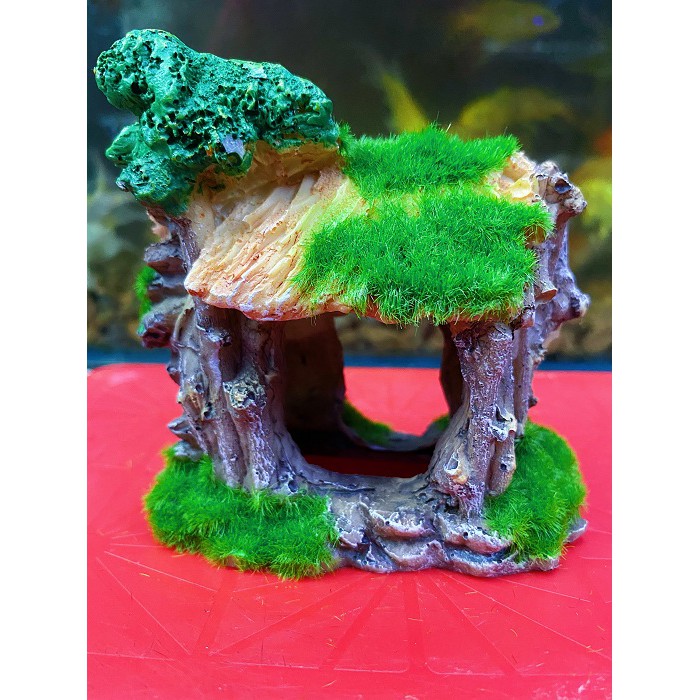 CỔNG CÂY PHỦ RÊU TRANG TRÍ HỒ CÁ NON BỘ 11X7X12CM