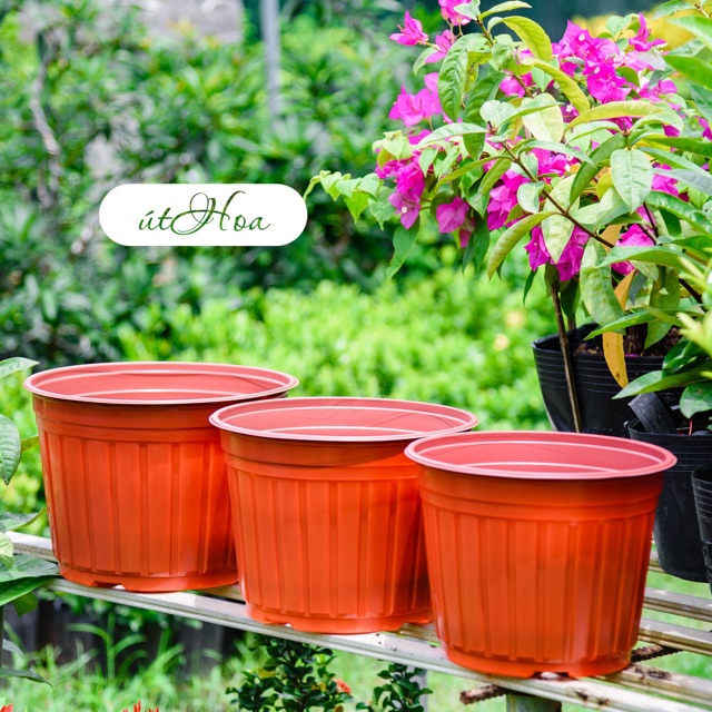 [ Sll giá rẻ] Chậu nhựa nâu N26 (26x20 cm) dày cứng, bóng đẹp