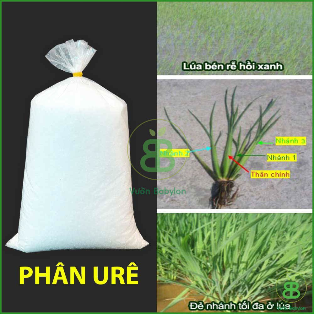 Phân Đạm Ure 500G Giúp Cây Phát Triển Tốt