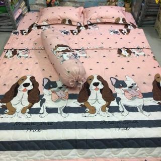 Drap cotton poly full nguyên bộ 5 món