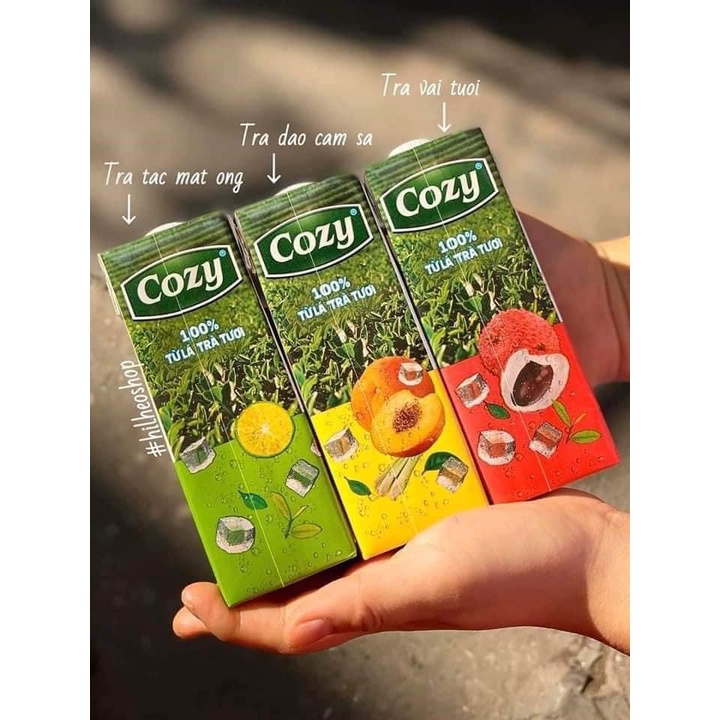 TRÀ TRÁI CÂY COZY 3 VỊ 225ML/HỘP | BigBuy360 - bigbuy360.vn