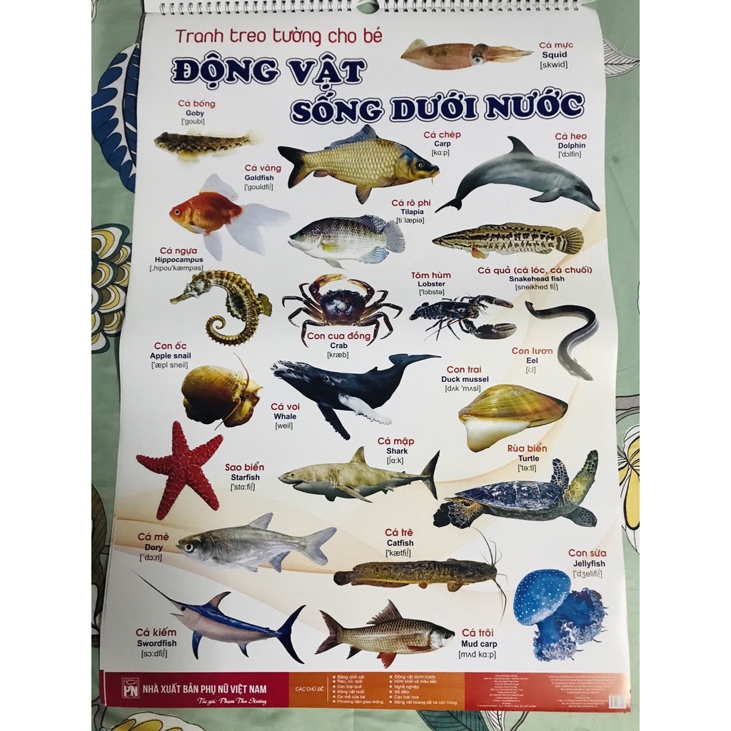 BỘ TRANH TREO TƯỜNG VỀ THẾ GIỚI XUNG QUANH 14 CHỦ ĐỀ IN 2 MẶT