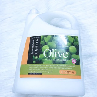 Dầu Gội Can Cho Salon Tóc, Khách Sạn, Nhà Nghỉ, Spa, Gội Đầu Dưỡng Sinh