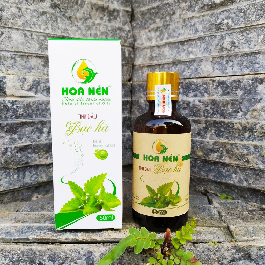 Tinh Dầu Bạc Hà Nguyên Chất 50ml - Tinh dầu đuỗi muỗi, khử khuẩn hiệu quả