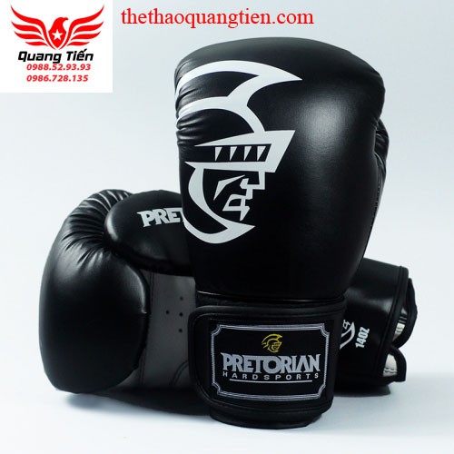 Freeship Găng tay boxing Bn tặng kèm túi chính hãng đủ màu đủ size