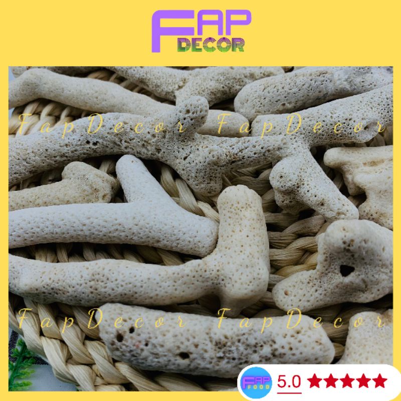 San Hô Lọc Nước Hồ Cá, San Hô Tăng Độ PH Trong Nước Cho Bể Cá - FapFood