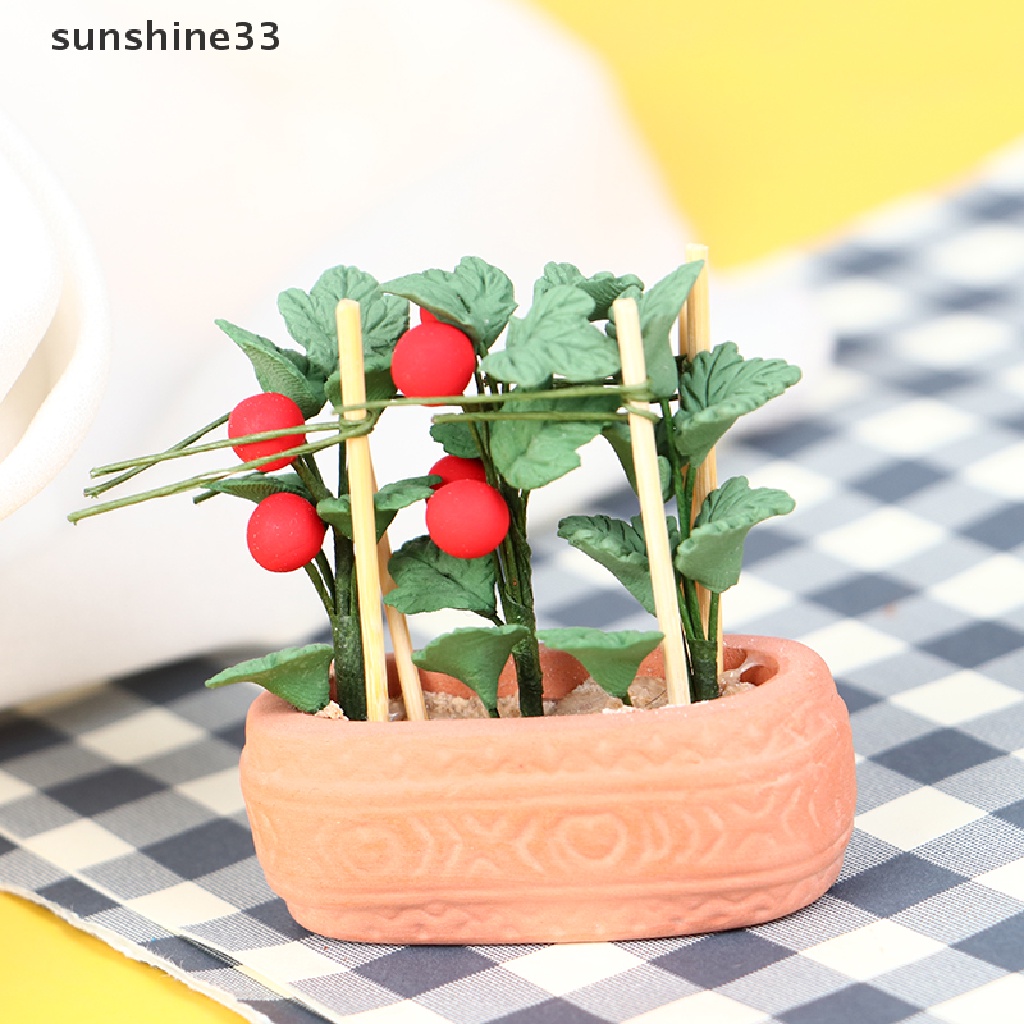 Mô Hình Chậu Cây Cà Chua Mini Tỉ Lệ 1: 12 Trang Trí Nhà Búp Bê