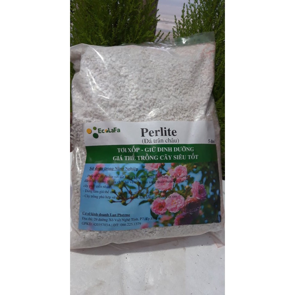 Đá Trân Châu Perlite ( Trồng sen đá, hoa lan, hoa hồng)