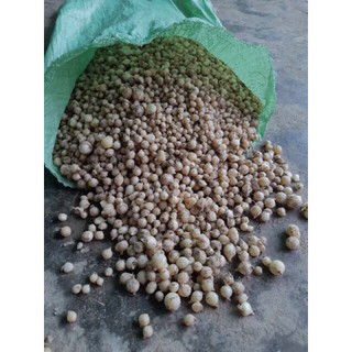 Củ nén, hành tăm Quảng Bình (1kg)