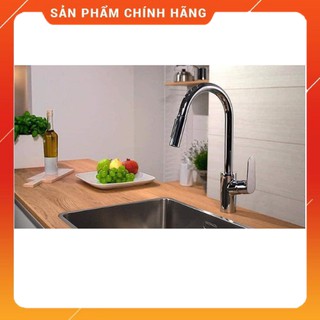 Vòi rửa bát Hansgrohe Focus 240