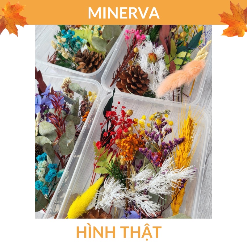 Hộp HOA KHÔ trang trí đa dạng mẫu mã , màu sắc làm đồ thủ công handmade , trang trí nến thơm, đổ resin