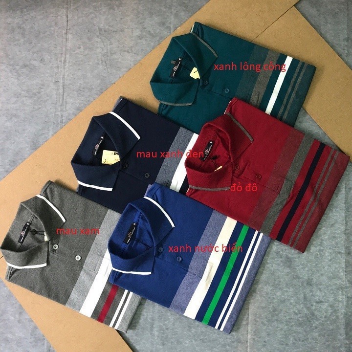 Áo polo thun nam lớn tuổi ⚡️Áo polo nam có cổ phối sọc và viền tinh tế Basis APL108