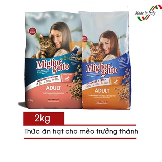 Hạt Cho Mèo Trưởng Thành Miglior Gatto Adult 2KG
