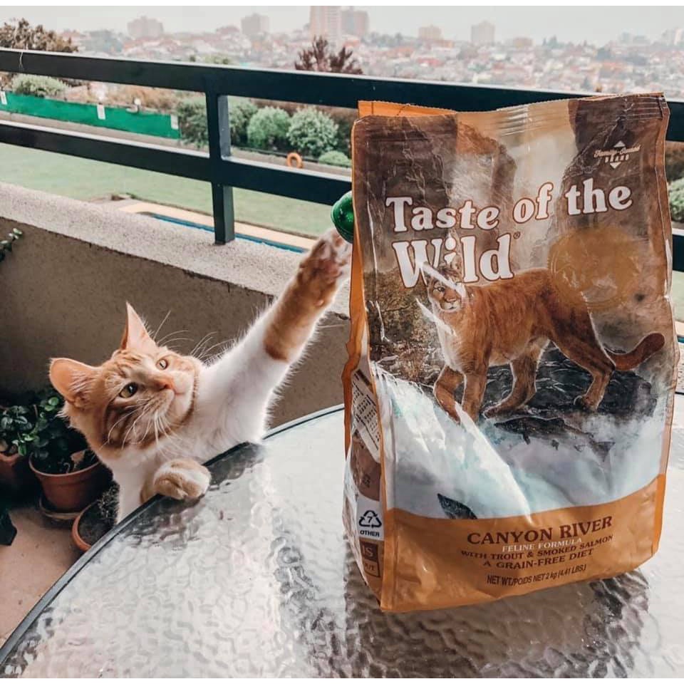 Thức ăn cho mèo không lông sphynx - Taste Of The Wild Canyon River Bao 2kg - Mượt Lông, Tiêu Búi Lông, Hệ Tiêu Hoá