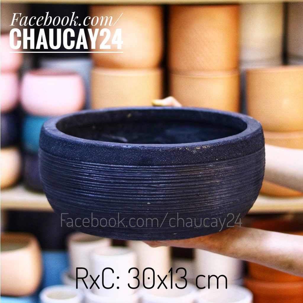 Chậu đá mài tròn lớn, chậu trồng cây cảnh trong nhà, bàng singapore, kim tiền