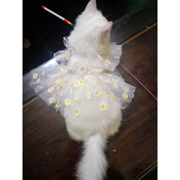 Đầm tết cho chó mèo dễ thương có size nhỏ