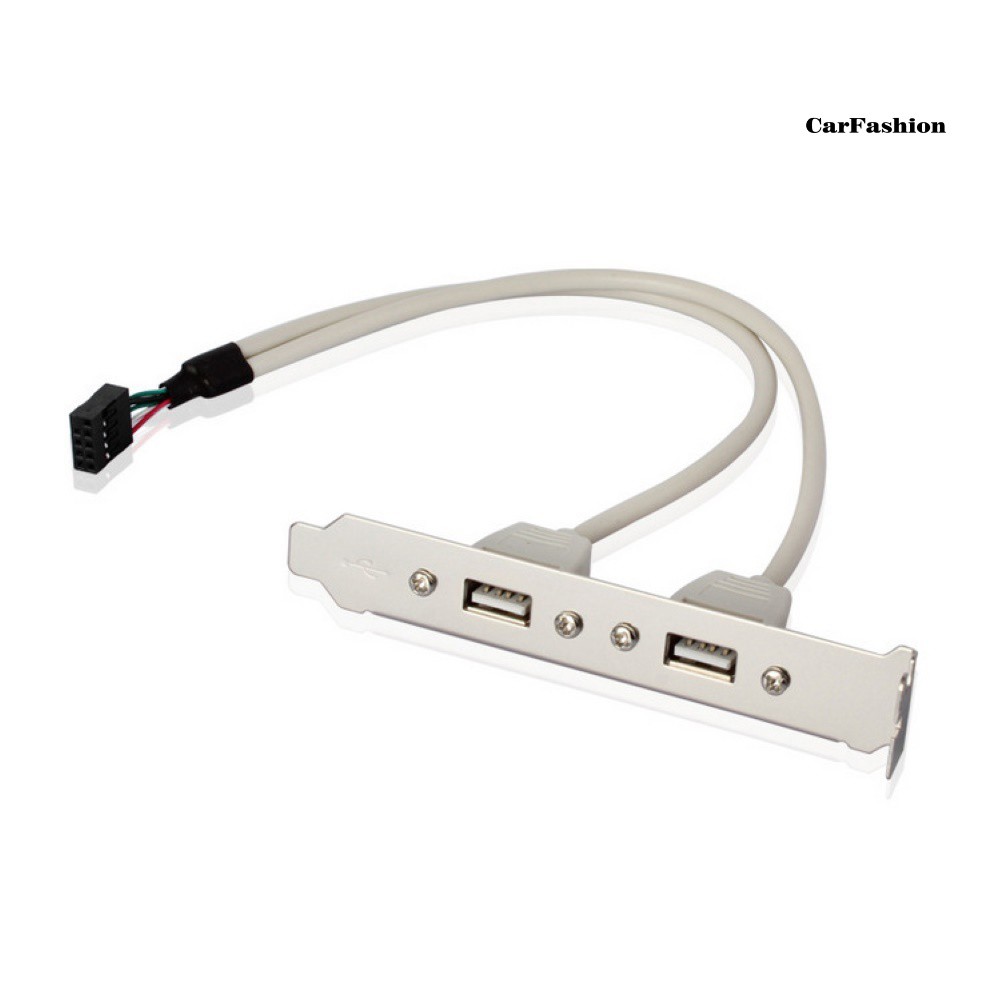 Cáp Chuyển Đổi Chs30cm 9 Pin Female Sang Dual Port Usb 2.0a Female