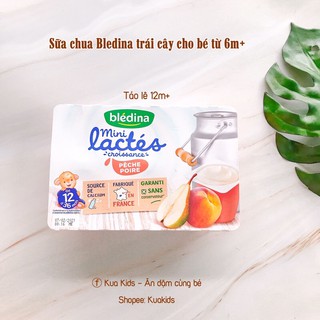 Sữa chua nguội Bledina Pháp