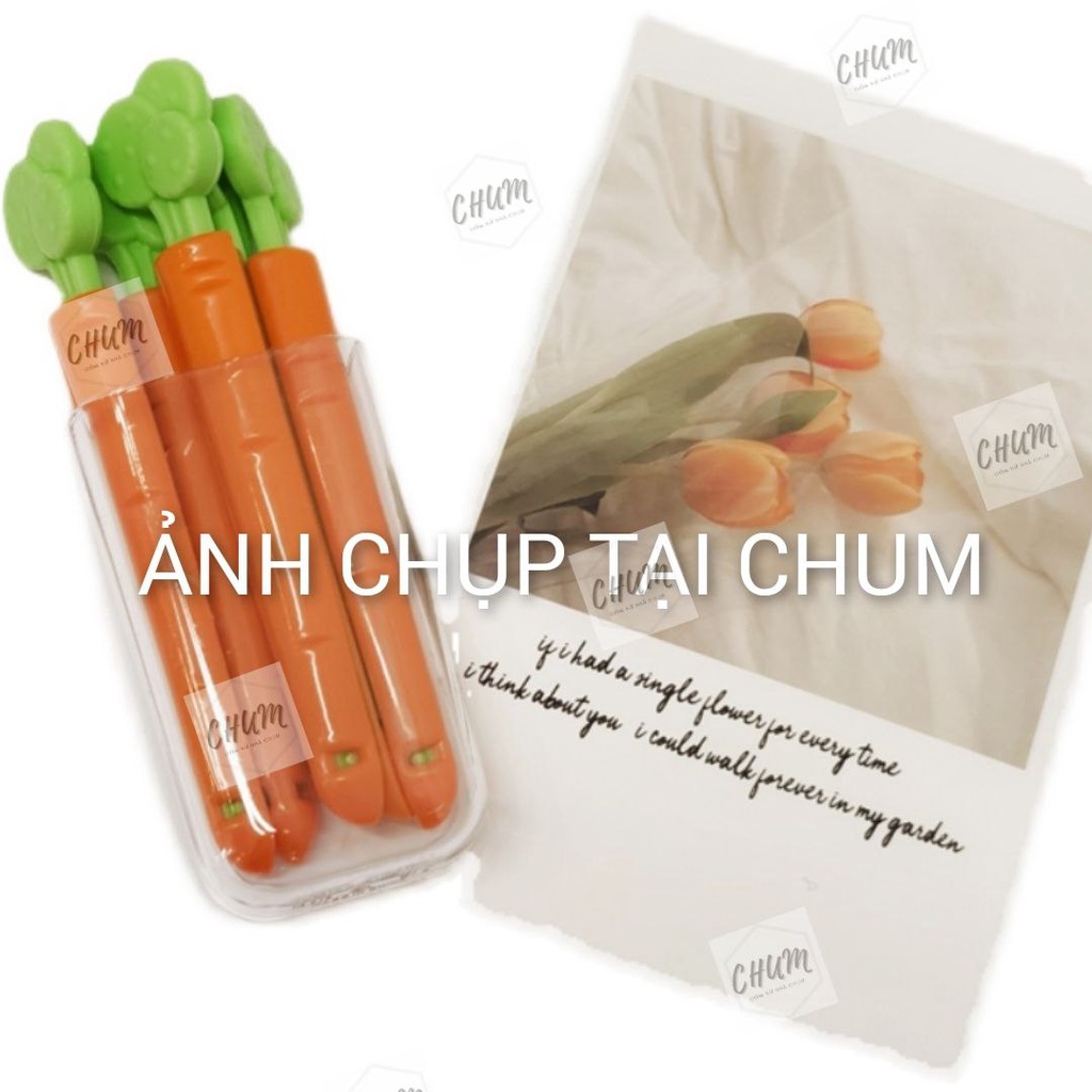 Set 5 Thanh Kẹp Miệng Túi Hình Cà Rốt Kèm hộp gắn nam châm B5