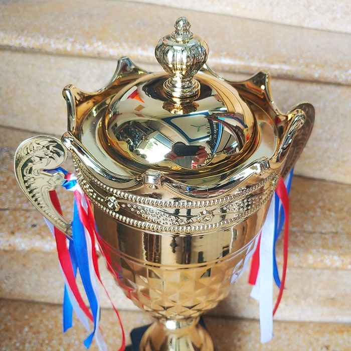 [Free thiết kế - in ấn logo] Cúp lưu niệm thể thao bằng kim loại giá rẻ TL-037