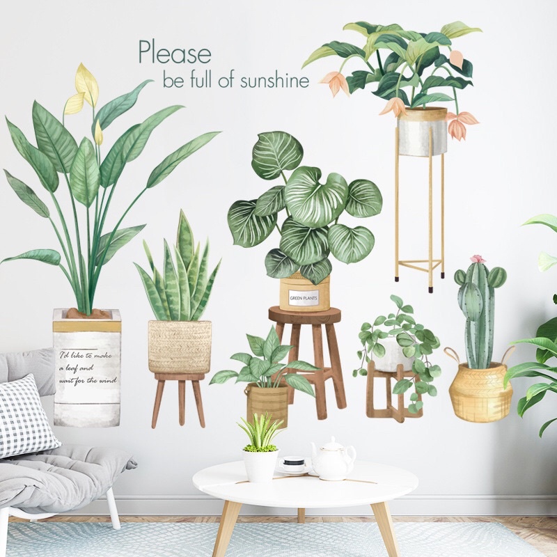 Decal dán tường Hàn Quốc, Tranh dán tường chậu cây xanh trang trí phòng khách.