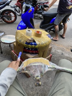 Cổ YyPang.