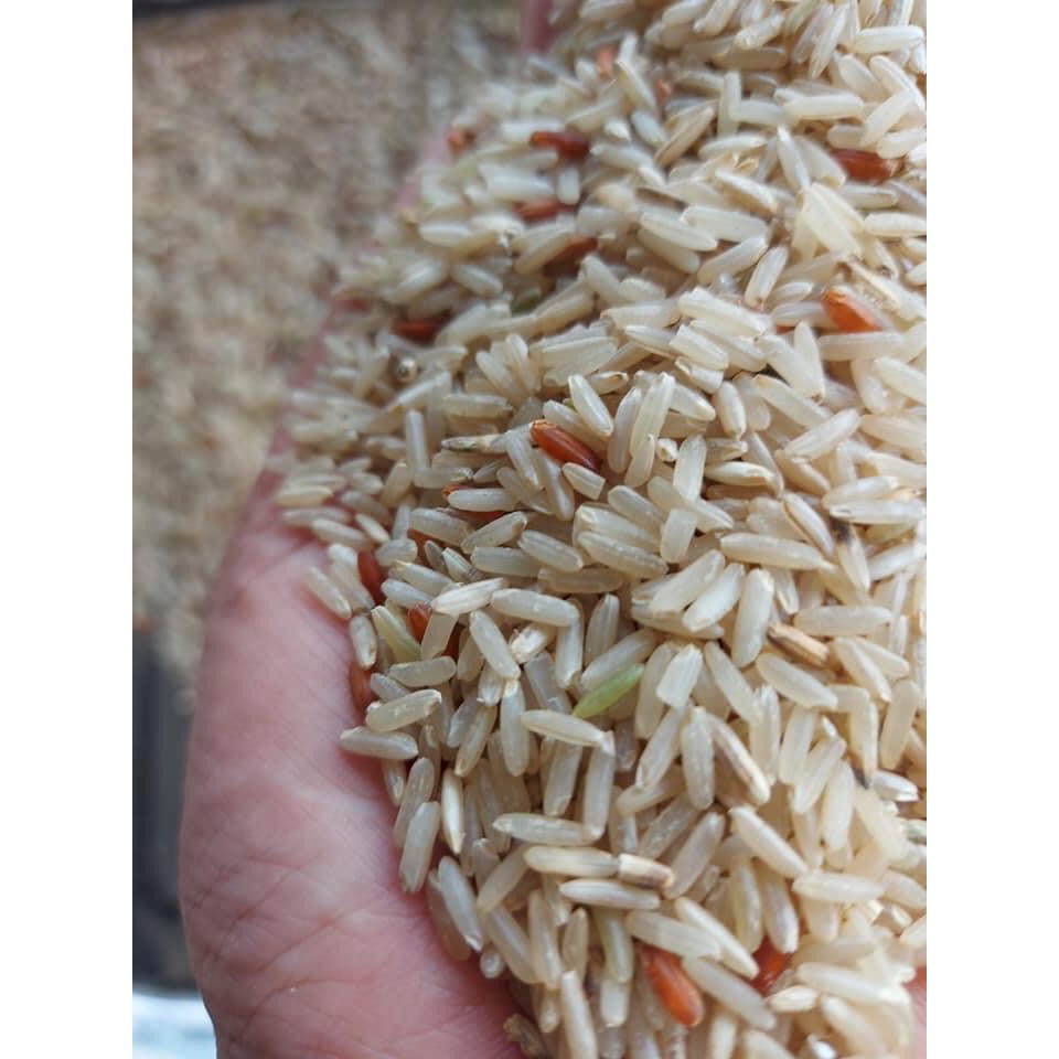 1kg Gạo Lứt Trắng Dẻo Thơm, Mềm Cơm- Nông Sản Quê - Gạo ORGANIC Giảm Cân, Thực Dưỡng | BigBuy360 - bigbuy360.vn