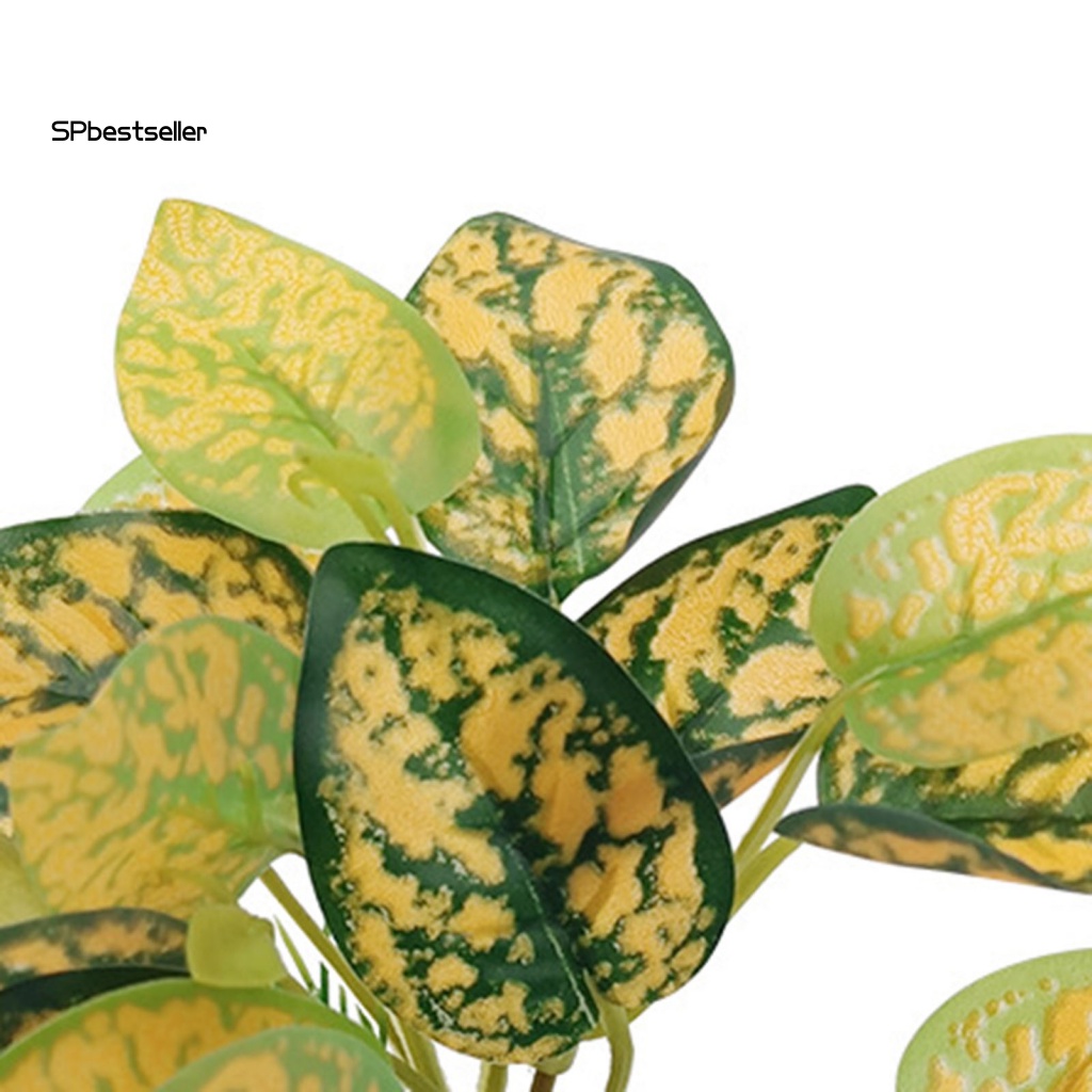 Cây Giả Trang Trí Bể Cá Cảnh Độc Đáo Đẹp Mắt