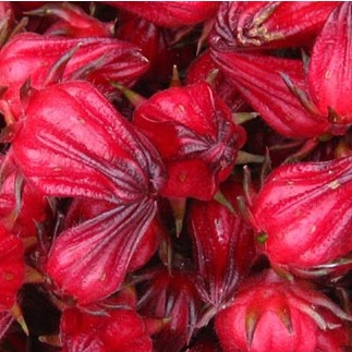 Shop 1K - Hạt Giống Atiso Xanh - 20 Hạt