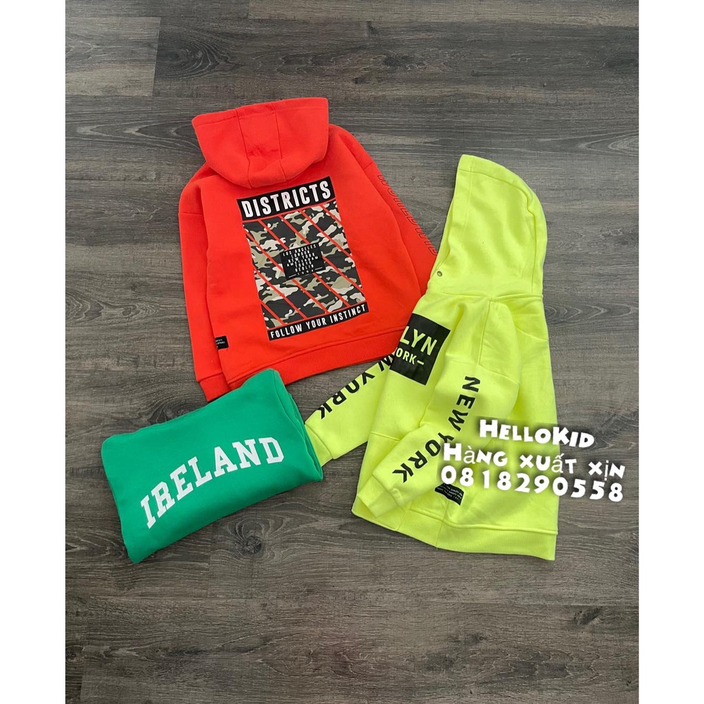 A453 - Áo nỉ hoodie primark bé trai