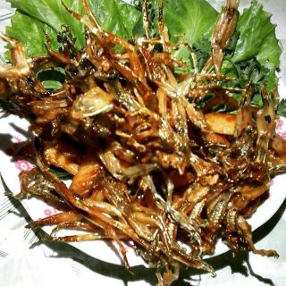 Khô Nhái 1kg hút chân không