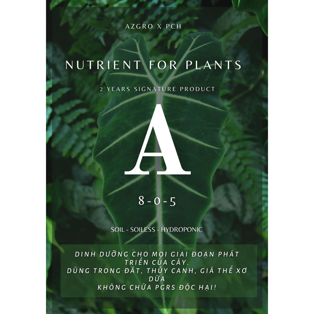 Dinh dưỡng cho cà chua AZGRO