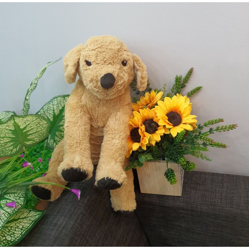 Chó bông 40cm GOSIG GOLDEN IKEA chính hãng.