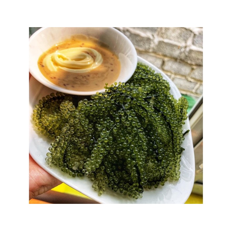 RONG NHO TÁCH NƯỚC TASAMI GÓI 20GR-Siêu rẻ