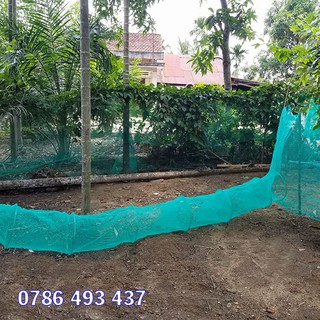 Bán dớn bắt cá, tôm, lươn, rắn lắp đặt đơn giản, cực hiệu quả