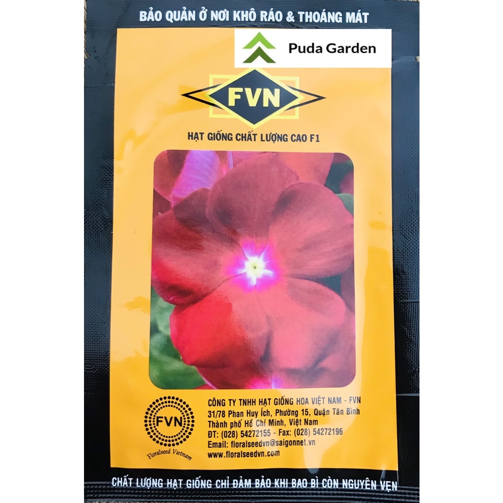 Hạt giống Hoa Dừa Siêu Bông Đỏ Chấm Trắng FVIN203 Mỹ - NNK5811
